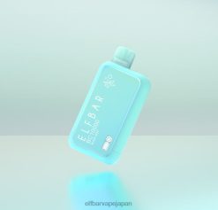 ELFBAR BC10000 使い捨てベイプ ディンモル版 マイアミミント JPVR2418 - Elf Bar Vape Japan