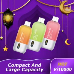 ELFBAR Funky Lands Vi10000 使い捨て電子タバコ ブルーベリーアイス JPVR2386 - Elf Bar Vape Japan