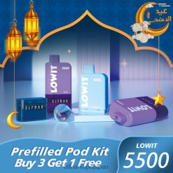 ELFBAR LOWIT 5500 プレフィルドポッドキット ブルーベリーアイス JPVR2359 - エルフバー 個人輸入