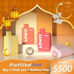 ELFBAR LOWIT 5500 充填済みポッド ブルーベリーアイス JPVR2374 - エルフバー 使い方