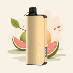 Alibarbar Ingot 9000 ファンタ 22ml エルクイッド