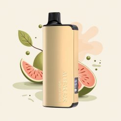 Alibarbar Ingot 9000 黒森の22mlインゴット