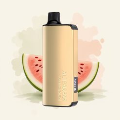 Alibarbar Ingot 9000 スイカアイス2350