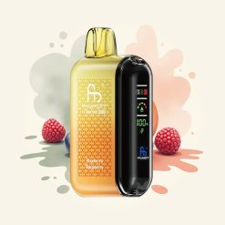 Fumot Tornado 20000 ブルーベリーレーズベリー デュアルメッシュ