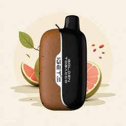 IGET Moon K5000 ゴールデンタバコ メッシュコイル1.35オーム